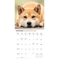 Shiba Inu 2027 Wall Calendar