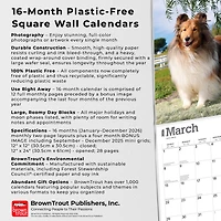 Shetland Sheepdogs 2026 Wall Calendar - Online Only