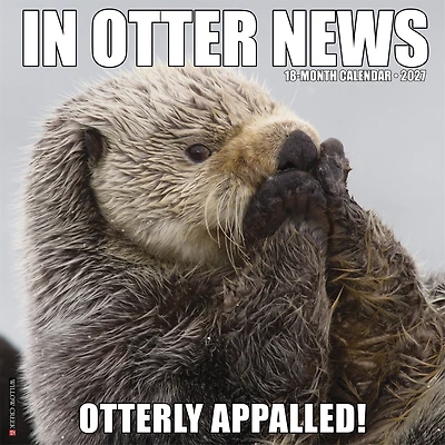 In Otter News 2027 Wall Calendar