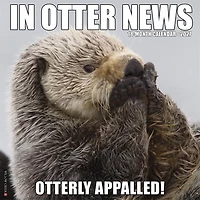 In Otter News 2027 Wall Calendar