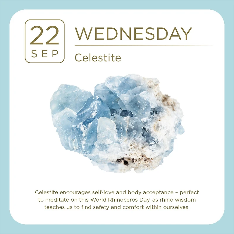 Crystal 2027 Box Calendar