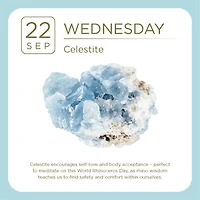 Crystal 2027 Box Calendar