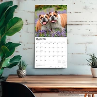 Bulldogs English 2026 Wall Calendar
