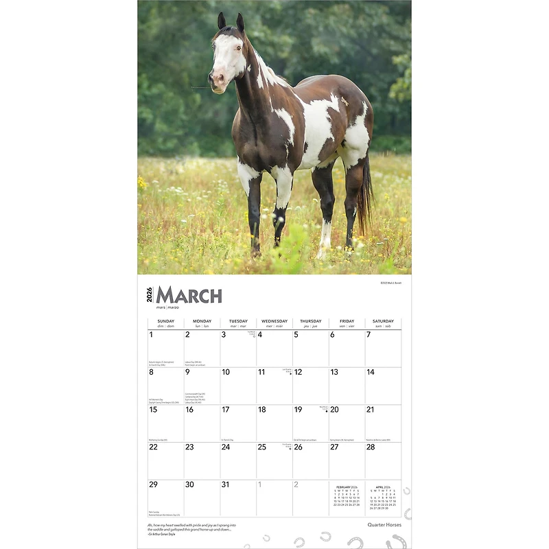 Quarter Horses 2026 Wall Calendar - Online Only