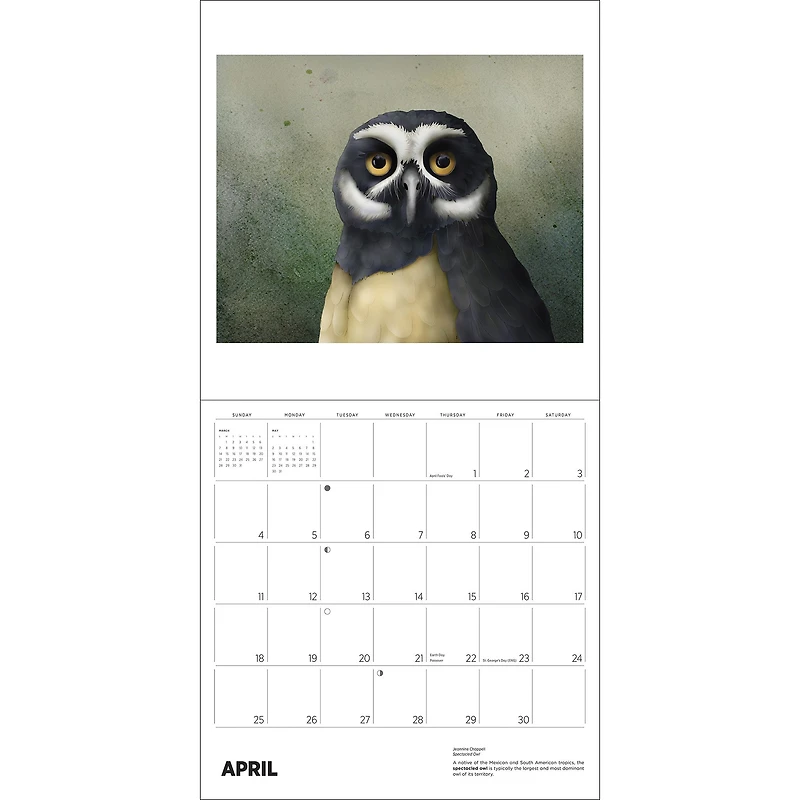 Owls Jeannine Chappell 2027 Wall Calendar