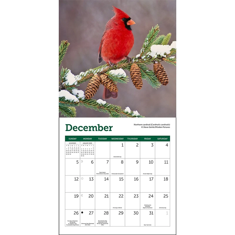 Songbirds 2027 Mini Calendar