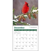 Songbirds 2027 Mini Calendar