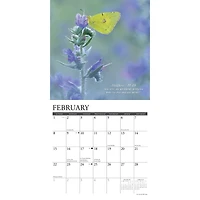 Gods Palette 2026 Wall Calendar - Online Only