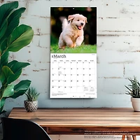 Golden Retriever Puppies 2027 Wall Calendar