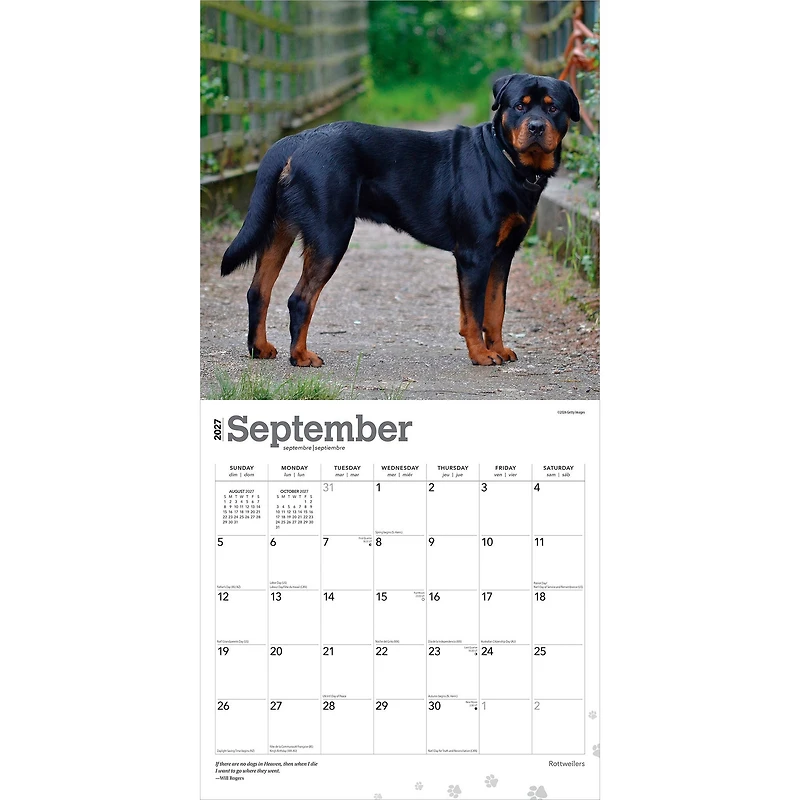 Rottweilers 2027 Wall Calendar