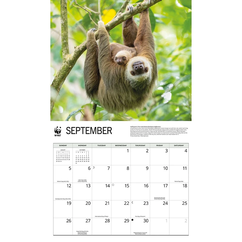 World Wildlife Fund Sloths 2027 Wall Calendar