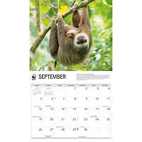 World Wildlife Fund Sloths 2027 Wall Calendar