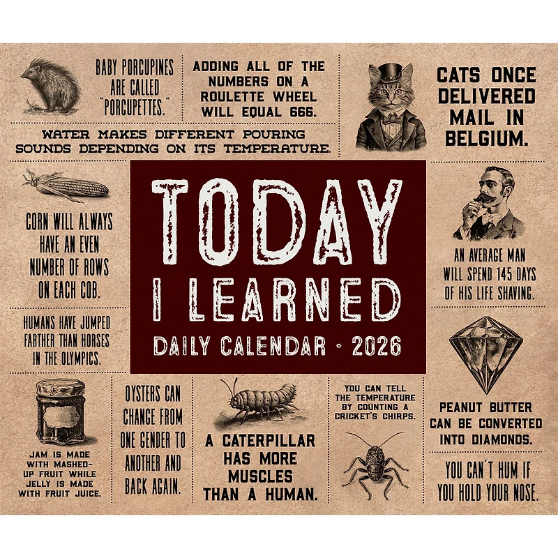 Today I Learned 2026 Box Calendar - Online Only