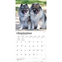 Keeshonden 2027 Wall Calendar