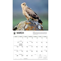 World Wildlife Fund Eagles 2027 Wall Calendar