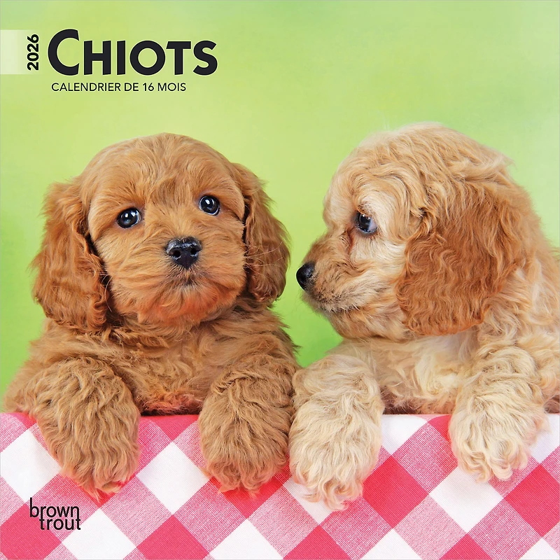 Chiots 2026 Mini Calendar (French)