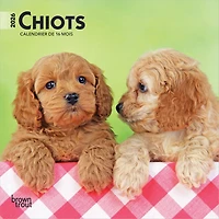 Chiots 2026 Mini Calendar (French)