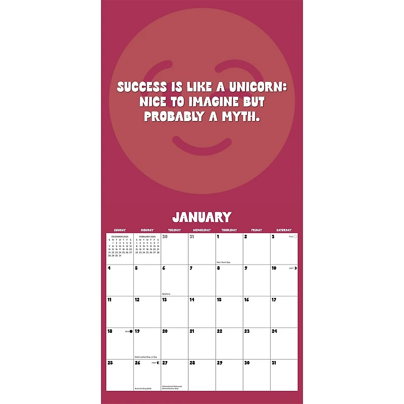 You Dont Got This 2026 Wall Calendar