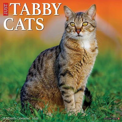 Just Tabby Cats 2026 Wall Calendar - Online Only