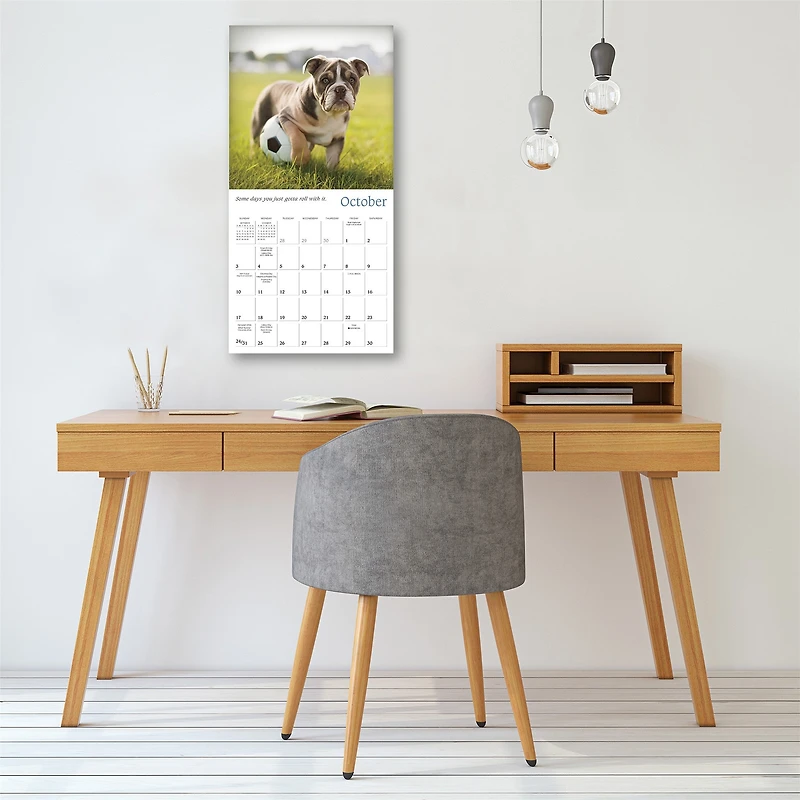 Dogma 2027 Wall Calendar