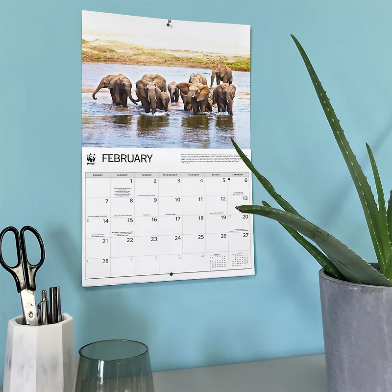 World Wildlife Fund Elephants 2027 Wall Calendar