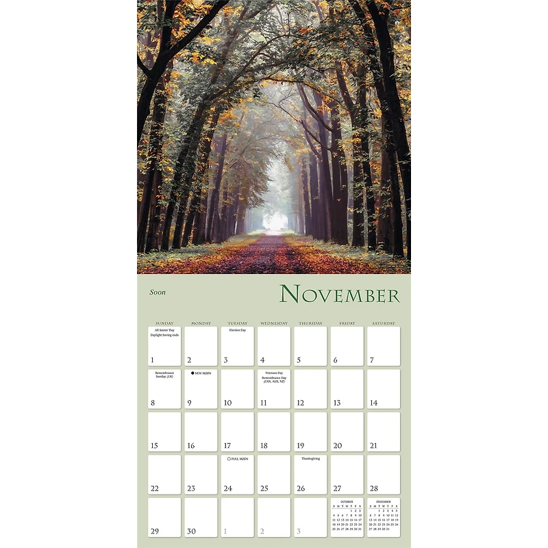 Enchanted Pathways 2026 Wall Calendar