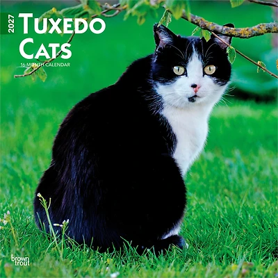 Tuxedo Cats 2027 Wall Calendar