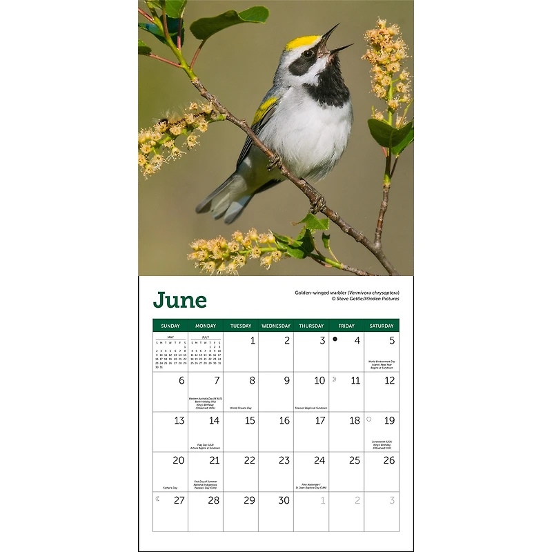Songbirds 2027 Mini Calendar