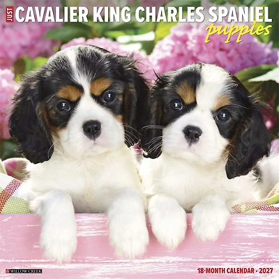 Cavalier King Charles Spaniel Puppies 2027 Wall Calendar - Online Only