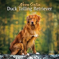 Nova Scotia Duck Tolling Retriever 2026 Wall Calendar