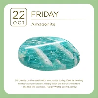 Crystal 2027 Box Calendar