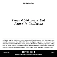 The New York Times Headlines In History 2026 Box Calendar - Online Only