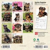 Yorkshire Terrier Puppies 2026 Mini Calendar