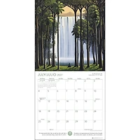 Forest Meditations 2027 Wall Calendar / Meditaciones del Bosque 2027 Calendario
