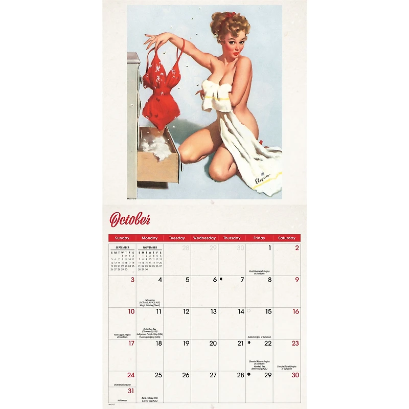 Pin-Up Girls 2027 Mini Calendar