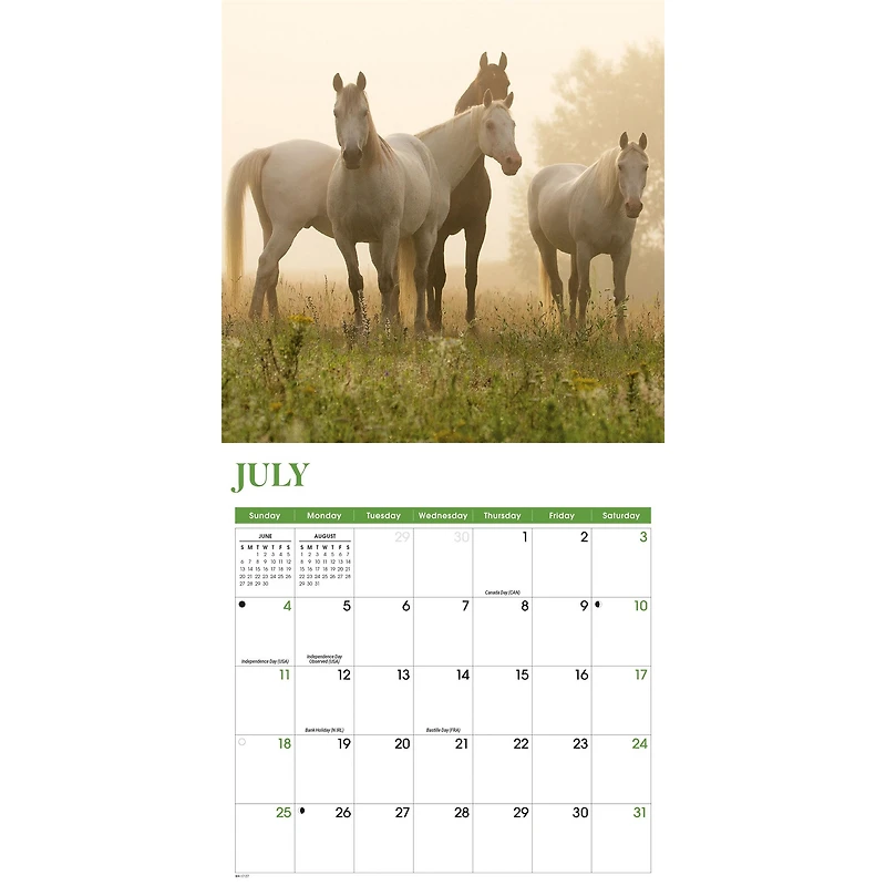 Horses 2027 Mini Calendar