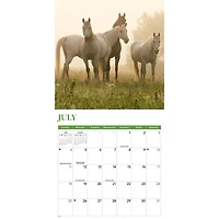 Horses 2027 Mini Calendar