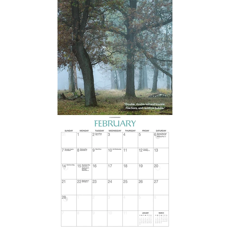 Witches’ Woods 2027 Wall Calendar