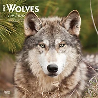 Les Loups 2026 Wall Calendar (French)