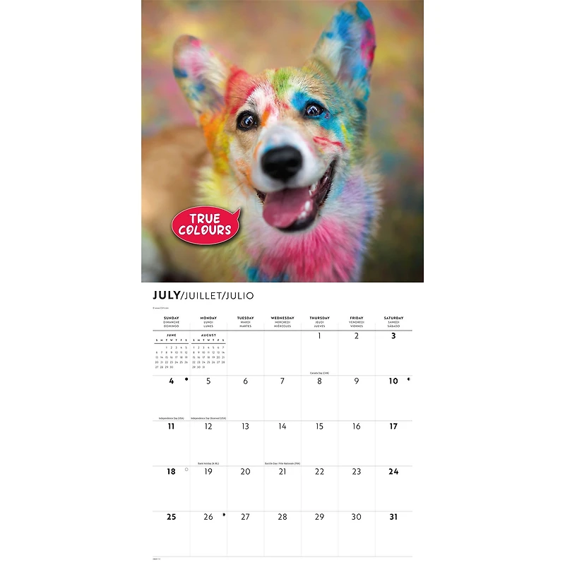 Corgi Capers 2027 Wall Calendar