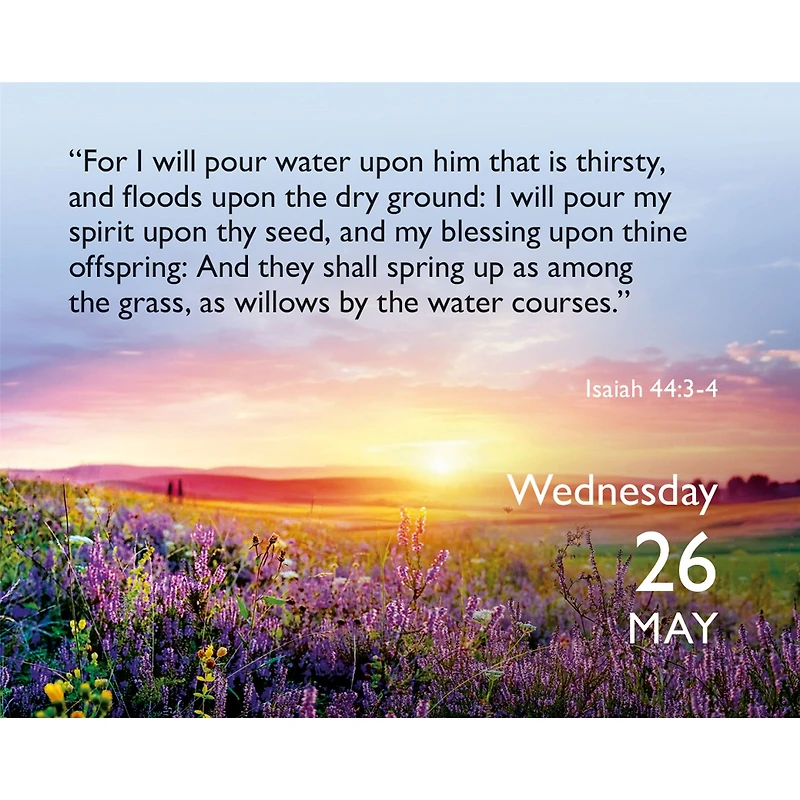 Bible Verse a Day 2027 Small Box Calendar