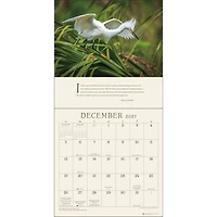 Pema Chödrön 2027 Wall Calendar - Online Only