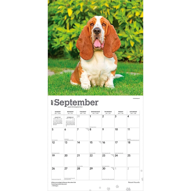 Basset Hounds 2027 Wall Calendar