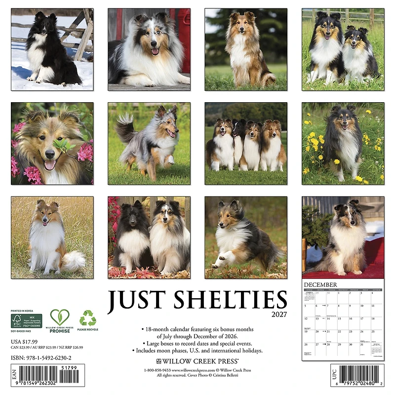 Shelties 2027 Wall Calendar