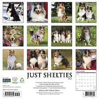 Shelties 2027 Wall Calendar