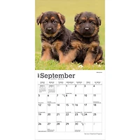 German Shepherd Puppies 2027 Mini Calendar
