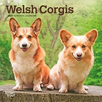 Welsh Corgis 2027 Mini Calendar