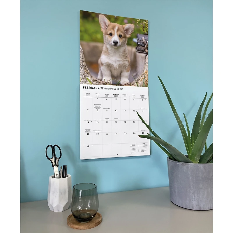 Corgi Puppies 2027 Wall Calendar