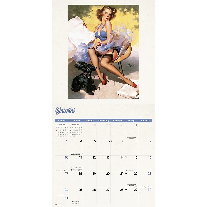 Pin-Up Girls 2027 Wall Calendar