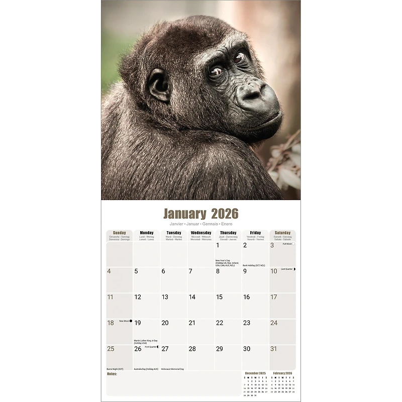 Apes 2026 Wall Calendar - Online Only